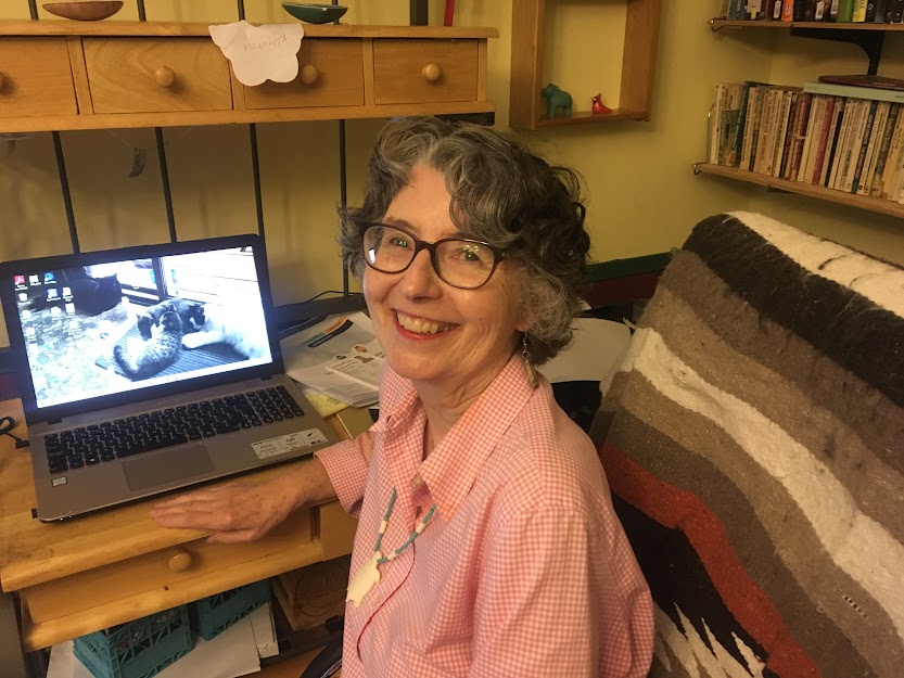 Dawn Brunelle at her computer.